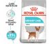 Royal Canin Mini Urinary Care granule pro psy s ledvinovými problémy 3 kg