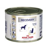 Royal Canin VD Dog/Cat Recovery 195g Konzerva