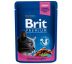 Kapsička Brit Premium Cat Chicken & Turkey 100g