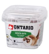 Ontario snack cat Dental Bites 75g