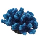Dekorace Aqua Excellent Mořský korál modrý 14,5 x 10,5 x 7,4 cm 1ks