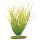 Rostlina Marina Hairgrass 20 cm 1ks